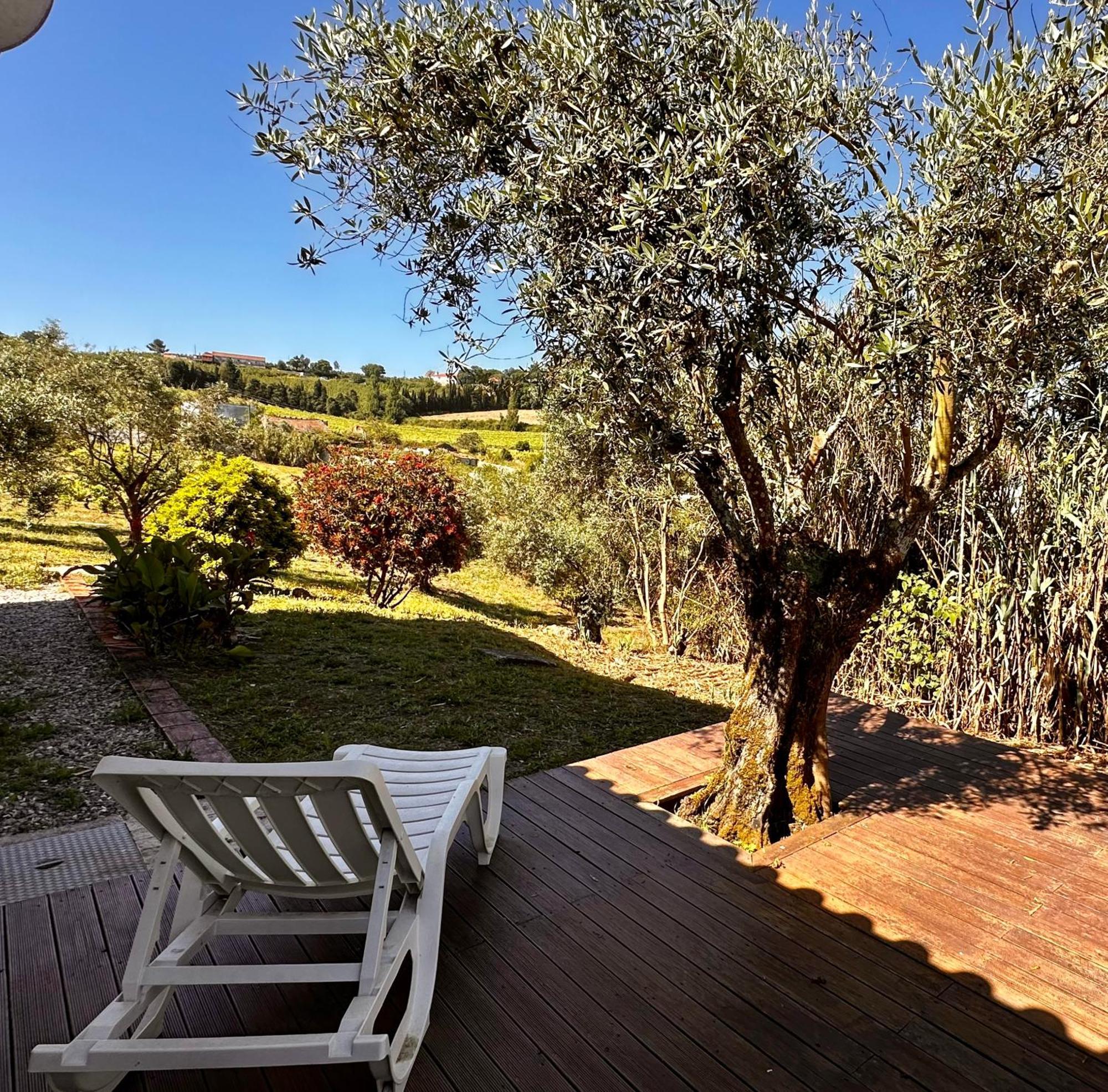 Quinta Boa Vida Villa Alcobaça Eksteriør bilde